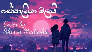 Sepalika Malai සේපාලිකා මලයි  Cover By Sheron Madusha [upl. by Ytirahs]