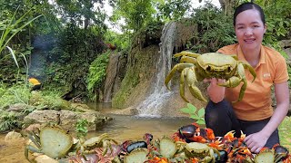 Go to old forest to catch wild crabs  Grilled crabs Take care chickens Amy  Green forest life [upl. by Keiko]