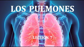 7 LOS PULMONES [upl. by Oiznun390]