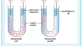 Cataphoresis  மின்முனைக்கவர்ச்சி [upl. by Llenahc918]