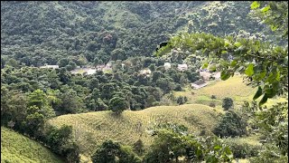 El campo de Puerto Rico Patillas pescaesportiva viralvideo kobebryant familia pescaria [upl. by Anaujit592]