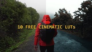 LUT PACK  10 FREE Cinematic LUTs [upl. by Estele]