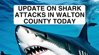 UPDATE ON 30A FLORIDA SHARK ATTACKS 6724 [upl. by Kiah811]