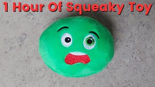 30 Minutes of Squeaky 😧 Toy Sound [upl. by Geralda]