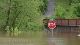 Flood Hermann MO [upl. by Dorry]