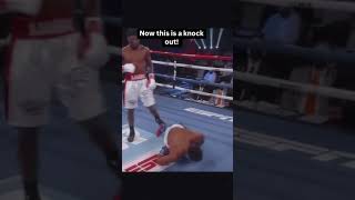 The Most Satisfying Knockouts in Boxing History [upl. by Aicela]