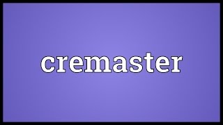 Cremaster Meaning [upl. by Dagny299]