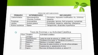 Metabolismo Vegetal Metabolitos Primarios y Secundarios [upl. by Enywtna]