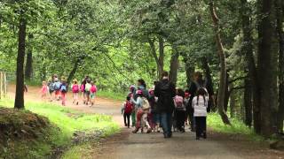 Une idée pour vos sorties scolaires Bienvenue au Parc Animalier dAuvergne [upl. by Iccir]