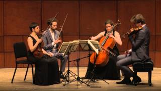 Beethoven String Quartet Op 132 in A Minor  Ariel Quartet full [upl. by Suravart]