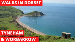 WALKS IN DORSET at TYNEHAM THE quotGHOSTquot VILLAGE amp WORBARROW BAY THE JURASSIC COAST 4K [upl. by Adnil]