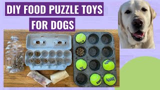 DIY Brain Games for Dogs Homemade Food Puzzle Toys [upl. by Rawden]