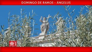 Papa Francisco  Celebración del Domingo de Ramos  Oración del Ángelus 20190414 [upl. by Luigi]