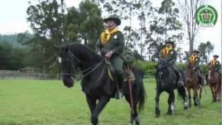 Carabineros montados y Guías caninos DICAR  policiadecolombia [upl. by Rehtae]