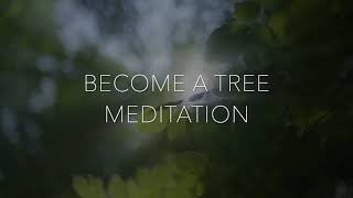 BECOME A TREE  MEDITATION [upl. by Andras63]