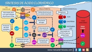 SÍNTESIS DE ÁCIDO CLORHÍDRICO HCL [upl. by Johst]