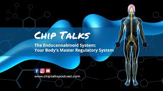 The Endocannabinoid System Your Bodys Master Regulatory System [upl. by Kciredorb]