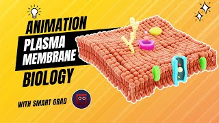 Plasma Membrane  Animation  Fluid Mosaic Model Animation  Function and Structure [upl. by Kurtz]