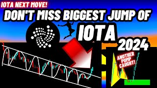 Dont Miss The Biggest Jump Of IOTA MIOTA In 2024 [upl. by Grantley448]