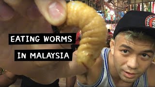 Eating Worms in Malaysia sago grub [upl. by Reerg145]