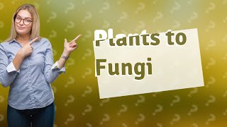 Were fungi ever classified as plants [upl. by Ariad661]