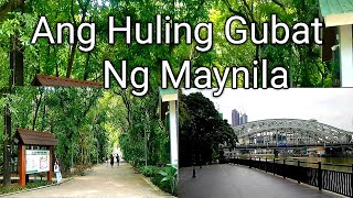 Ang Huling Gubat Ng Maynila  ARROCEROS FOREST PARK  CASA BLANCA Vlogs [upl. by Akiehsal]