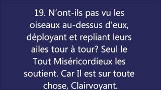 Coran  Sourate 67 Al Mulk La Royauté المُلک [upl. by Aidnac778]