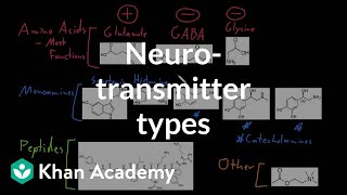 Types of neurotransmitters  Nervous system physiology  NCLEXRN  Khan Academy [upl. by Tunk]