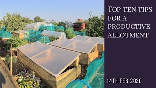 Top ten tips for a productive allotment [upl. by Winona]