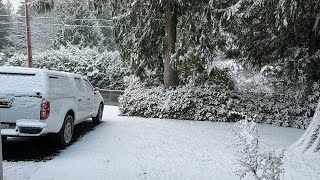 Lowland snow bitter cold arrives in western Washington [upl. by Rramaj534]