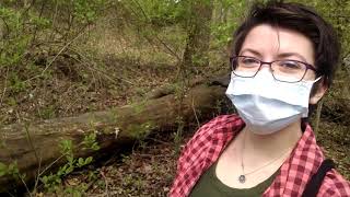 Mushroom Hunting with Chelsea VLOG [upl. by Namrac]