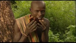 Footage Ethiopia 5 Tribe ritual Mursi collecting honey [upl. by Luigi309]