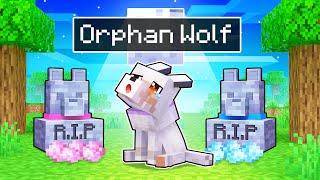 Aphmau Is An ORPHAN WOLF In Minecraft [upl. by Beffrey522]