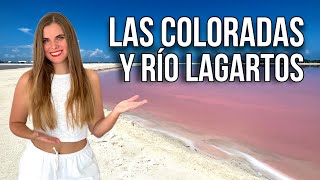 Las COLORADAS y RÍO LAGARTOS Yucatán 😍 MÉXICO [upl. by Birch480]