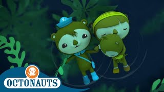 Octonauts  Shellington Adrift  Compilation  Cartoons for Kids [upl. by Cheke237]