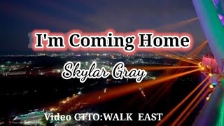 Im Coming Home Karaoke VersionSkylar Gray [upl. by Ijies]