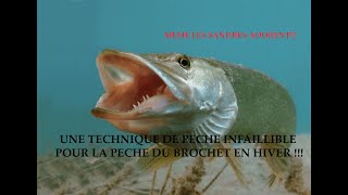 Une technique Infaillible pour pecher le brochet en hiver [upl. by Tjaden]