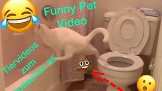 Lustige Tiervideos zum totlachen 20162017  Funny Pet Video 5 [upl. by Kamal]