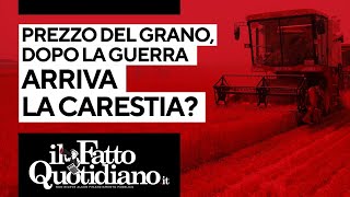 Aumenta il prezzo del grano dopo la guerra arriva la carestia [upl. by Harac]