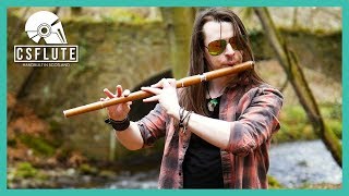 Concerning Hobbits  Celtic Flute Cover [upl. by Fritz]