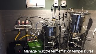 Ultimate way to Control Fermentation [upl. by Selfridge788]