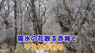 霧氷が花のように散る赤城鈴ヶ岳方面へと登り、下山して大沼のワカサギ釣りを見て来ました。 [upl. by Sivat78]