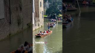 Cambridge summer punting punting [upl. by Kaya412]