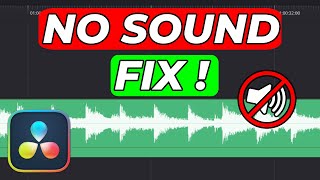 How to FIX No Audio in Davinci Resolve 19 Easy [upl. by Yaras]