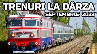 80 de trenuri in 30 de minute la DarzaAutumn trainspotting in Wallachia [upl. by Swainson53]