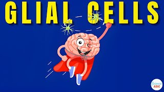 What are Glial Cells Definition Types Functions of Glial Cells  Role in Psychology [upl. by Nabroc]