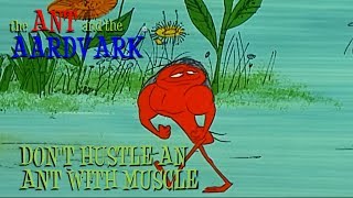 The Ant and the Aardvark in DonT Hustle An Ant With Muscle [upl. by Chuipek877]