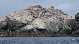 muckle flugga and out stack the most northern point of the British Isles Scotland [upl. by Elysee]