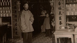 What was the impact of the Chinese Exclusion Act  The Chinese Exclusion Act [upl. by Atilol]