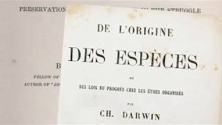 1859  Darwin et la théorie de lévolution [upl. by Schargel]